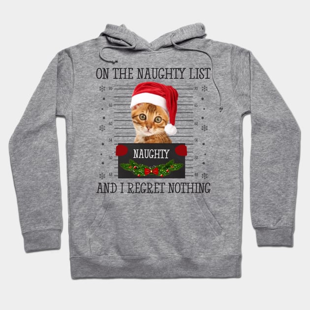 On The Naughty List, And I Regret Nothing Hoodie by CoolTees